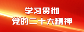 学习贯彻党的二十大精神